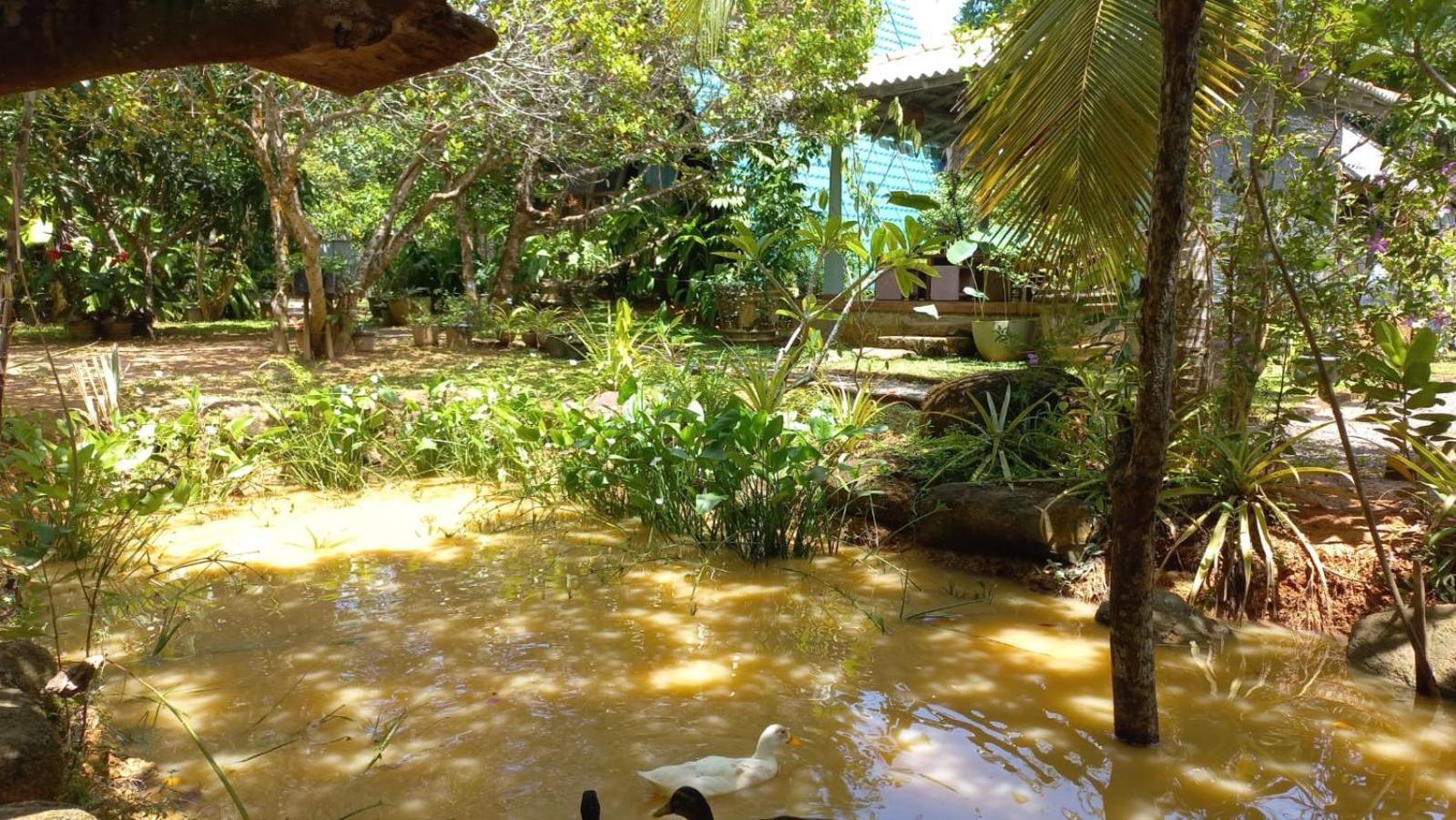 טאלפה Villa Ovita מראה חיצוני תמונה
