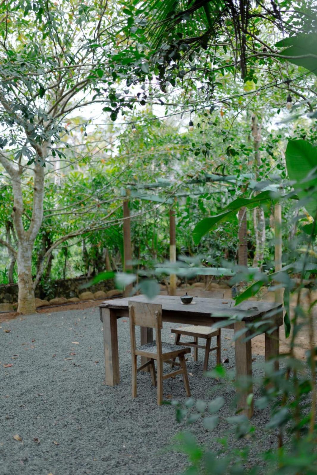 טאלפה Villa Ovita מראה חיצוני תמונה
